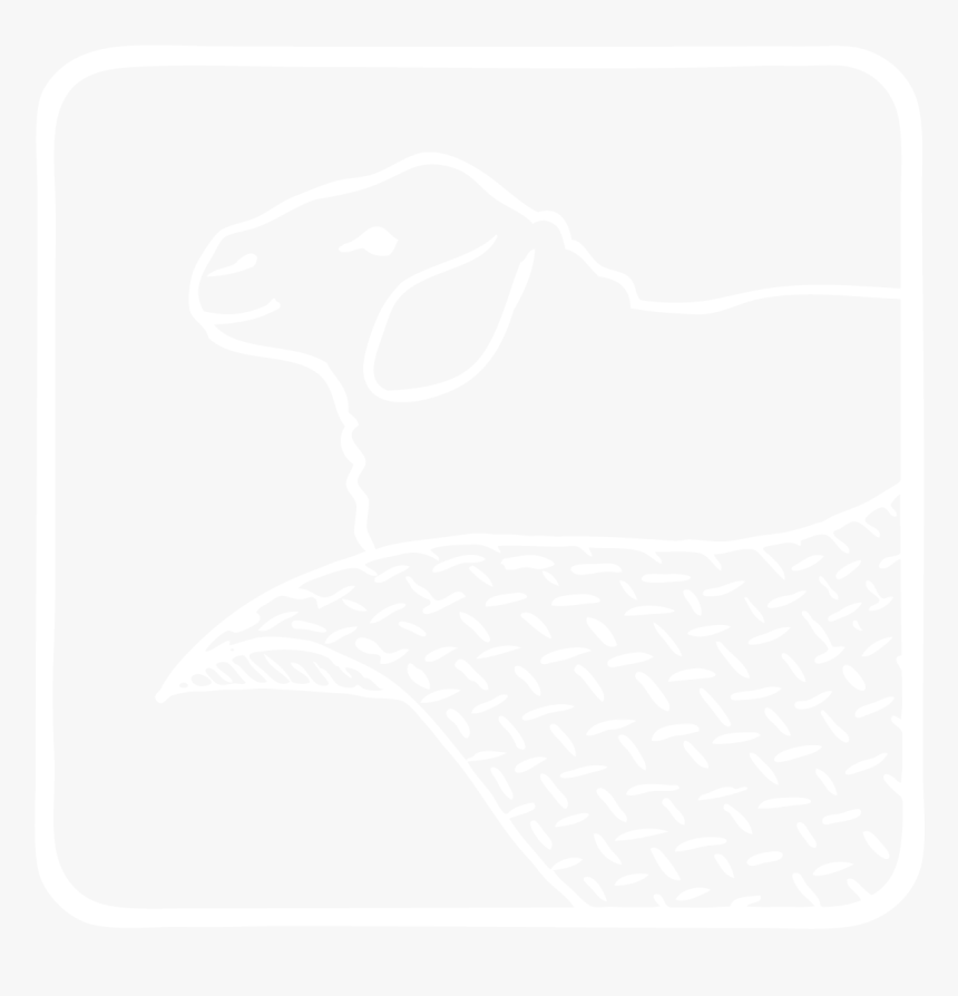 Wolle - Illustration, HD Png Download