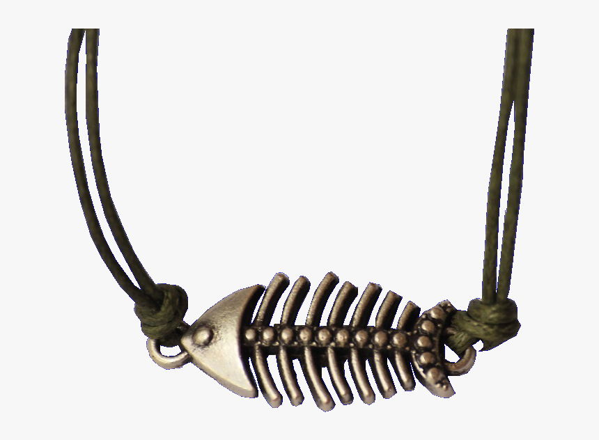 Bracelet With Fish Bone - Arthropod, HD Png Download