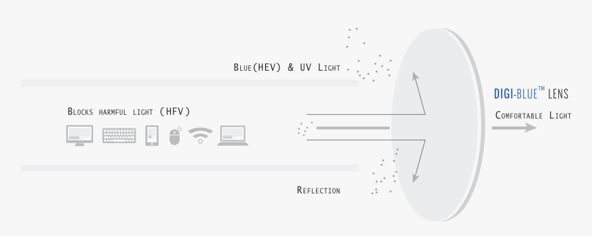 Circle, HD Png Download