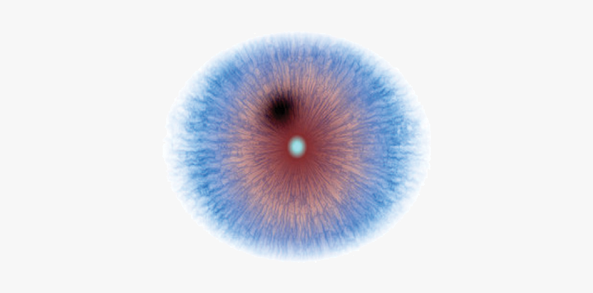 Circle, HD Png Download