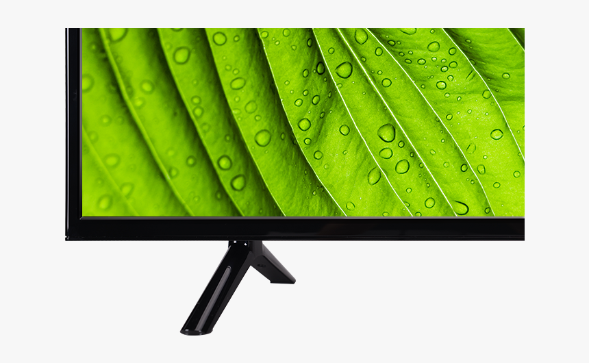 Tcl 49” Class D1-series Led Hdtv - Denka Tv Vds 55, HD Png Download