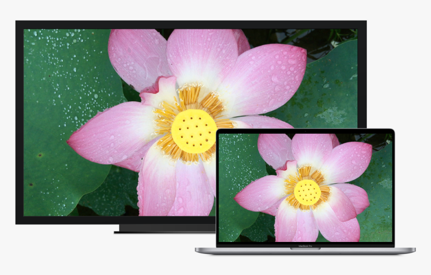 A Macbook Pro Next To An Hdtv Used As An External Display - Out Of Gamut Vectorscopio, HD Png Download