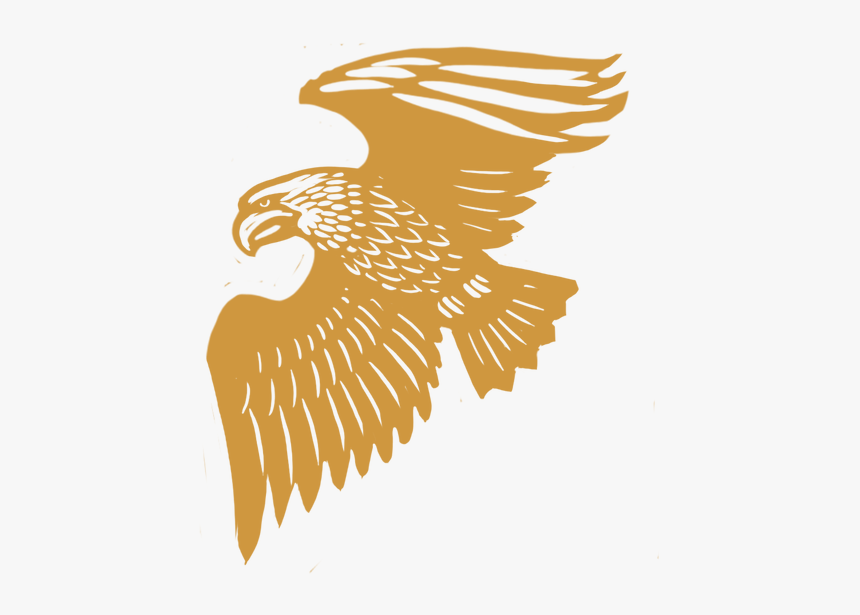 Red-tailed Hawk, HD Png Download