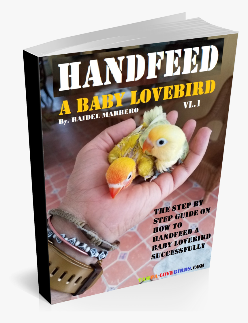 Turkey, HD Png Download