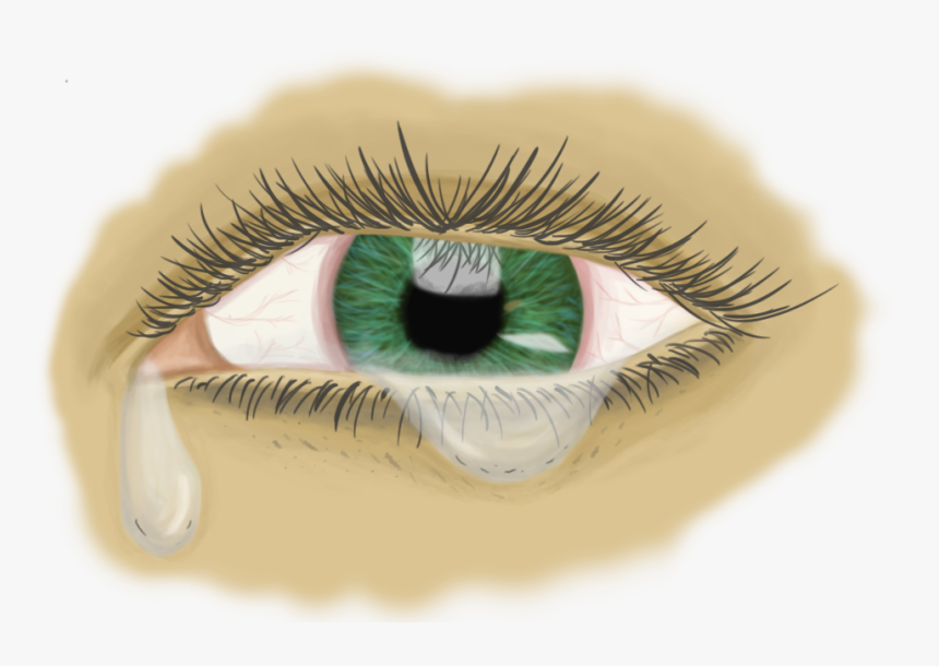 Picture - Eyelash Extensions, HD Png Download