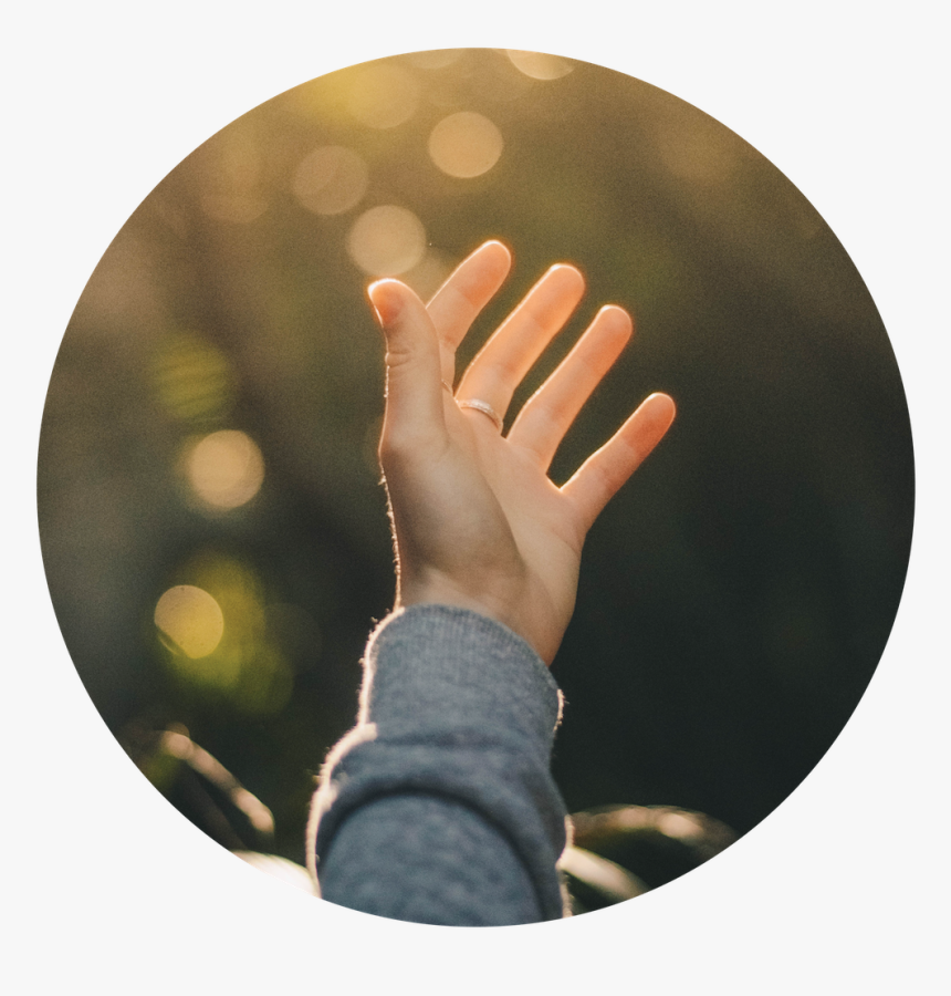 Magnify-01 - God Does Not Abandon His People, HD Png Download