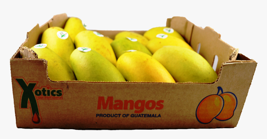 Offering Caselot Will Increase Sales - Mango Ataulfo Case, HD Png Download