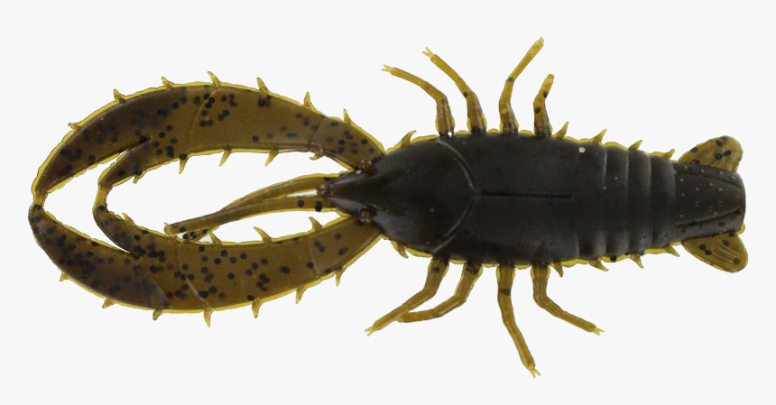 4″ Real Deal Craw In Green Pumpkin - Big Bite Baits 4 Real Deal Craw Green Pumpkin, HD Png Download