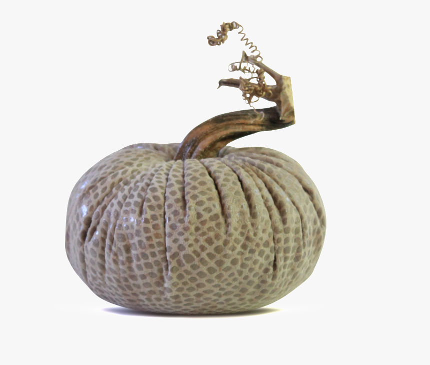 Data Image Id 15288085190 
 Class Productimg Product - Pumpkin, HD Png Download