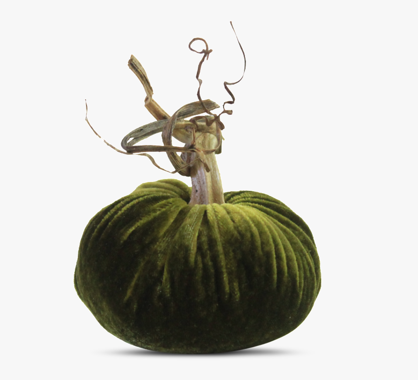 Figleaf Gourd, HD Png Download