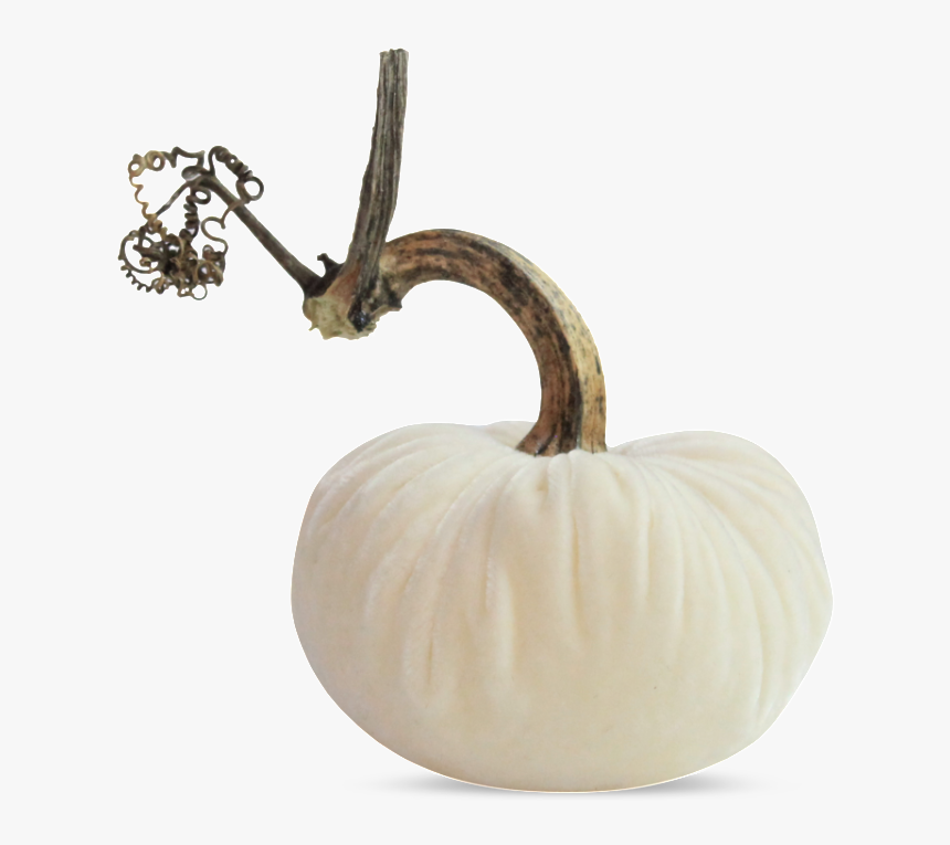Pumpkin, HD Png Download