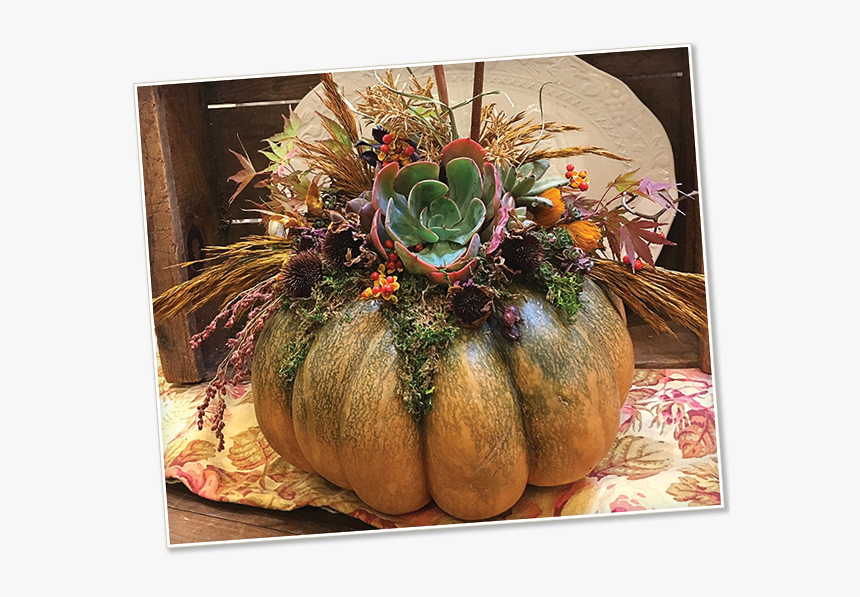 Winter Squash, HD Png Download