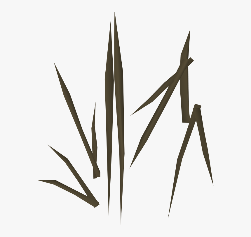 The Runescape Wiki - Plant Stem, HD Png Download