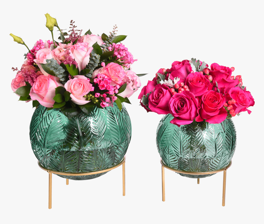 Adam & Eve Collection - Garden Roses, HD Png Download