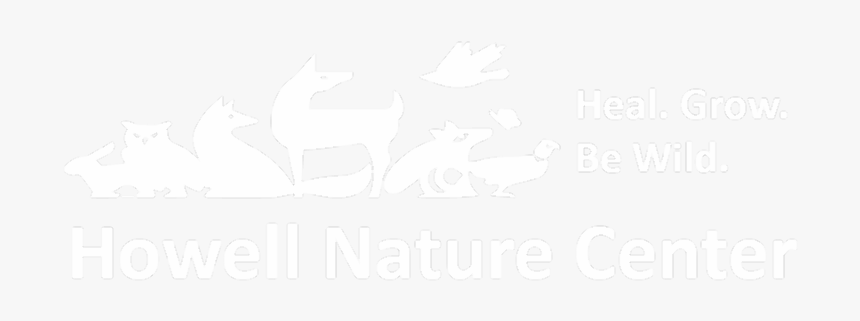 Parkinson Disease And Homeopathy, HD Png Download