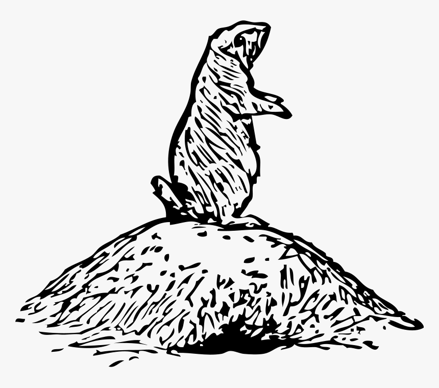 Prairie Dog Clipart Texas - Drawing Of Prairie Dog, HD Png Download