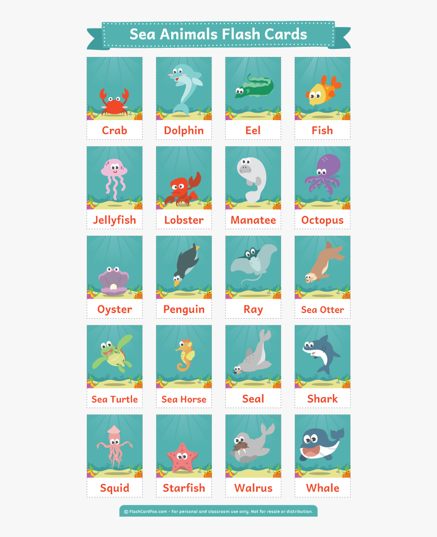 Sea Animals Flashcards Printable , Png Download - Sea Animals Flashcards Printable, Transparent Png