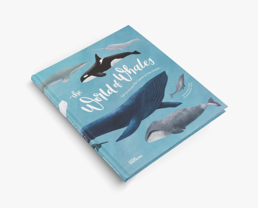 The World Of Whales By Darcy Dobell And Becky Thorns - Blue Whale, HD Png Download