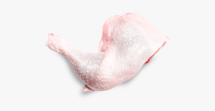 Macro Photography, HD Png Download