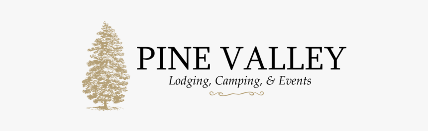 Pine Tree Top View Png, Transparent Png