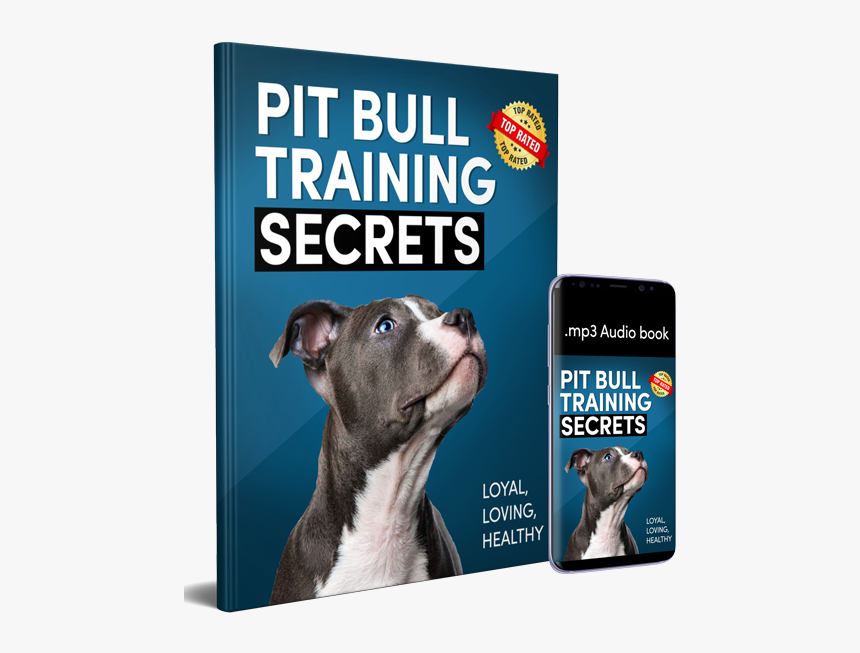 American Staffordshire Terrier, HD Png Download