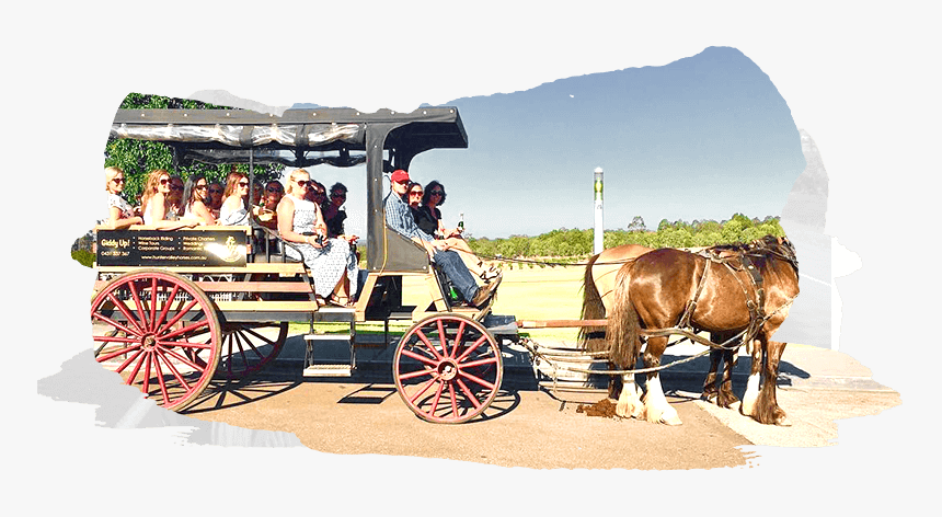 Horse And Buggy, HD Png Download