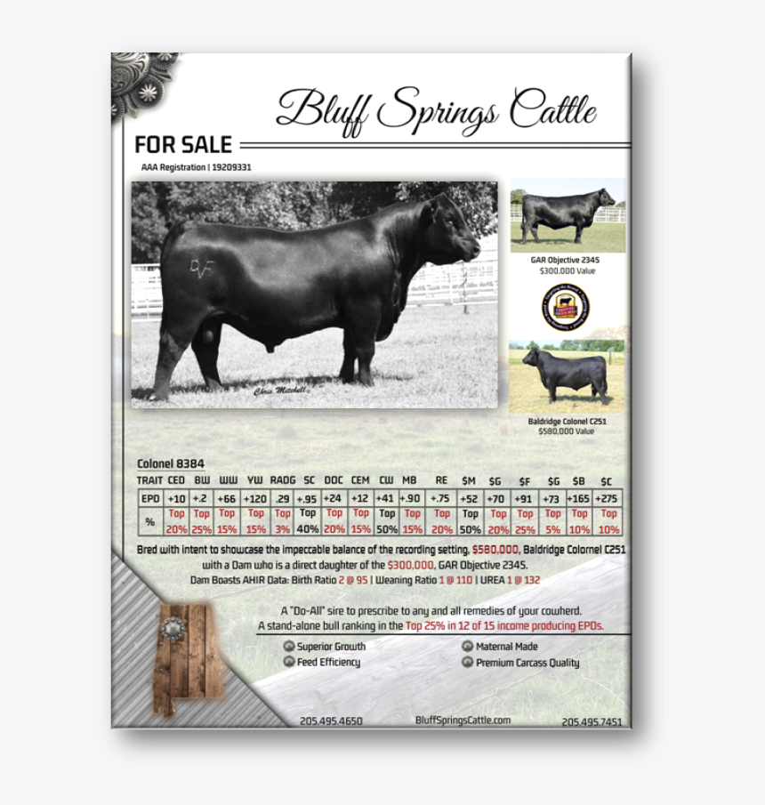Baldridge Colonel Ad - Bull, HD Png Download