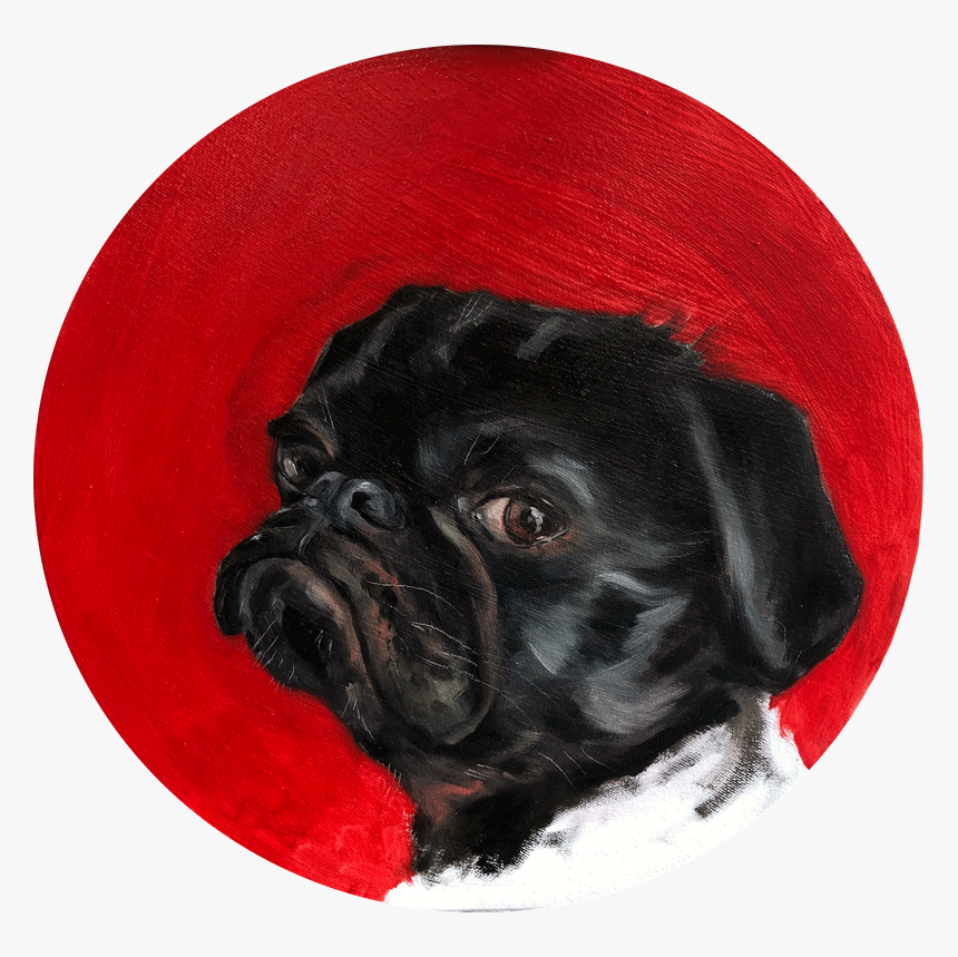 Black Pug,, HD Png Download