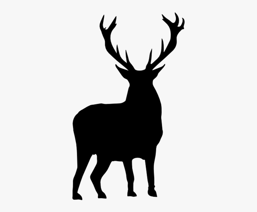 White-tailed Deer Moose Silhouette Clip Art - Moose Silhouette Head Transparent, HD Png Download
