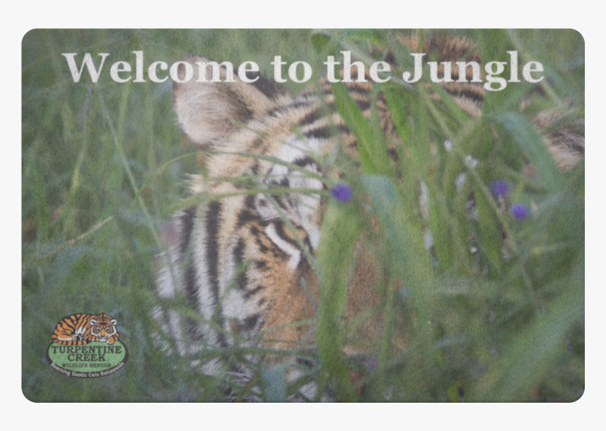 Siberian Tiger, HD Png Download