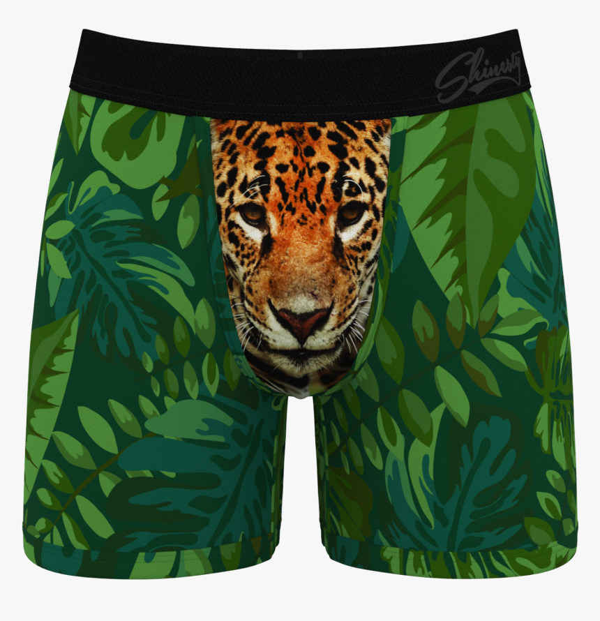 Baboon Underwear American Eagle, HD Png Download