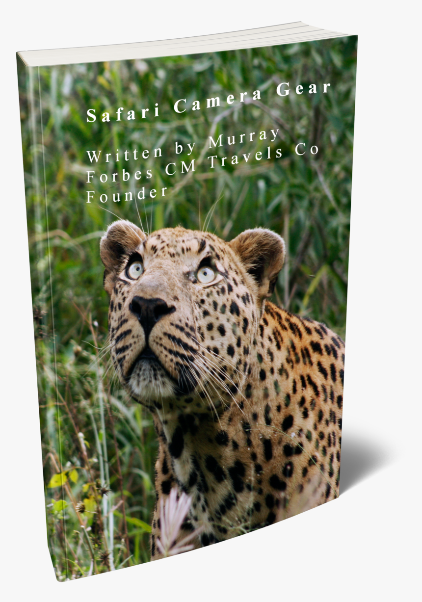 African Leopard, HD Png Download