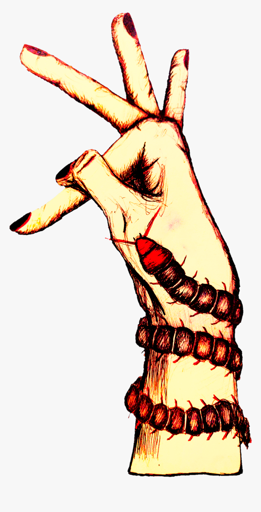 Illustration, HD Png Download