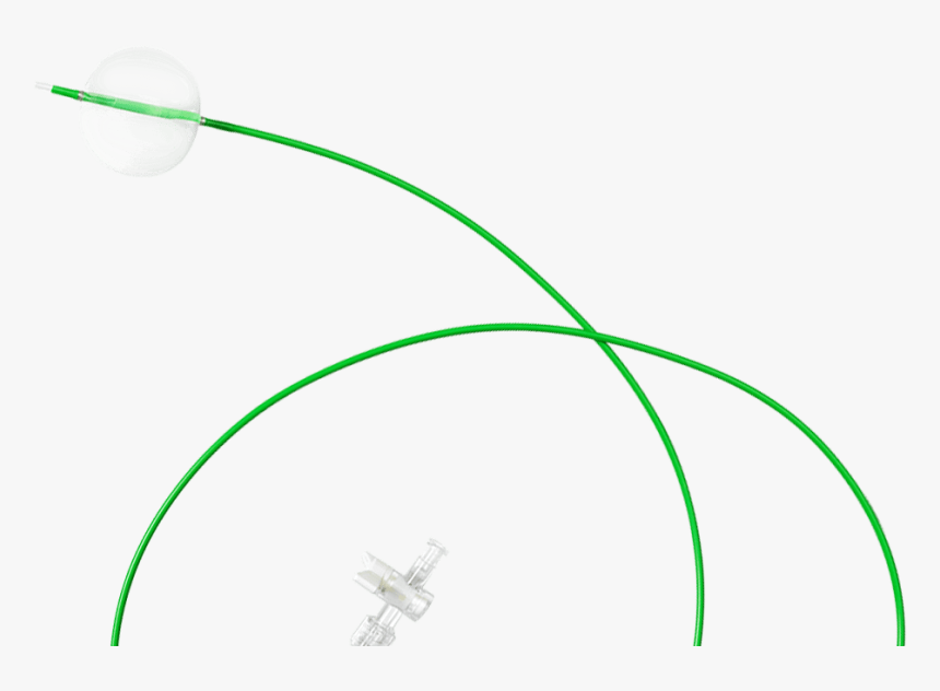Circle, HD Png Download