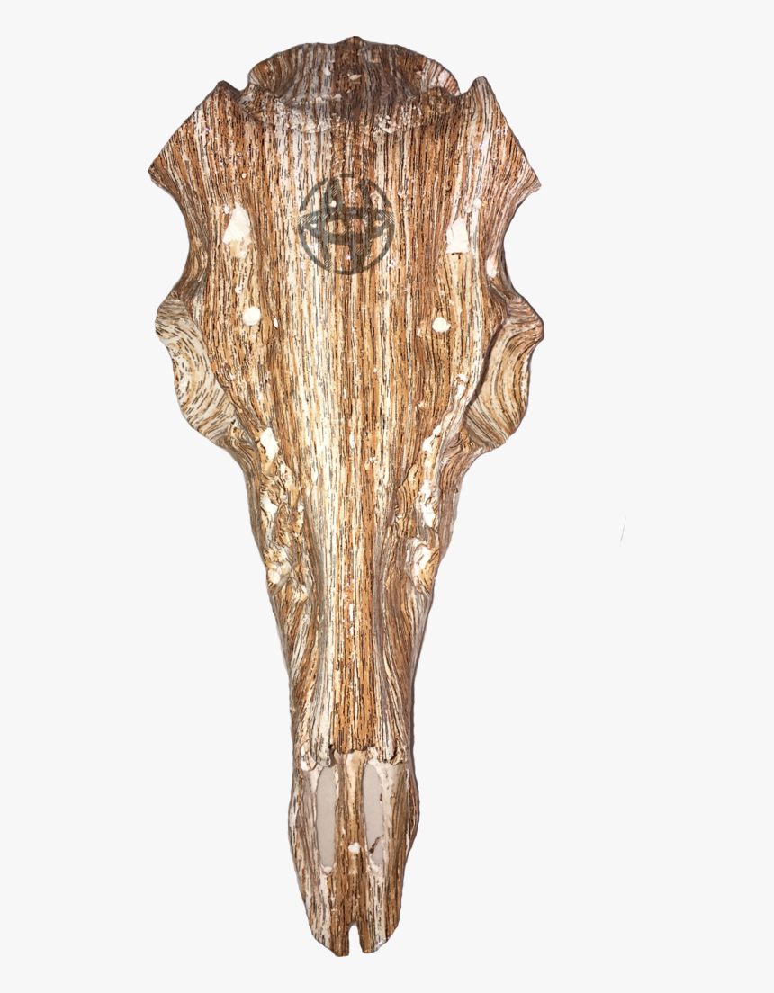 Hardwood, HD Png Download