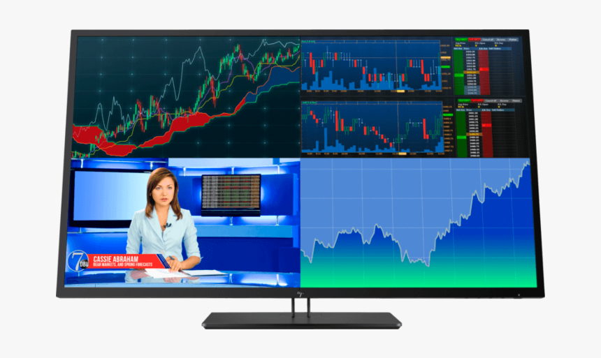 Hp Z43 42.5 Inch 4k Uhd Display, HD Png Download