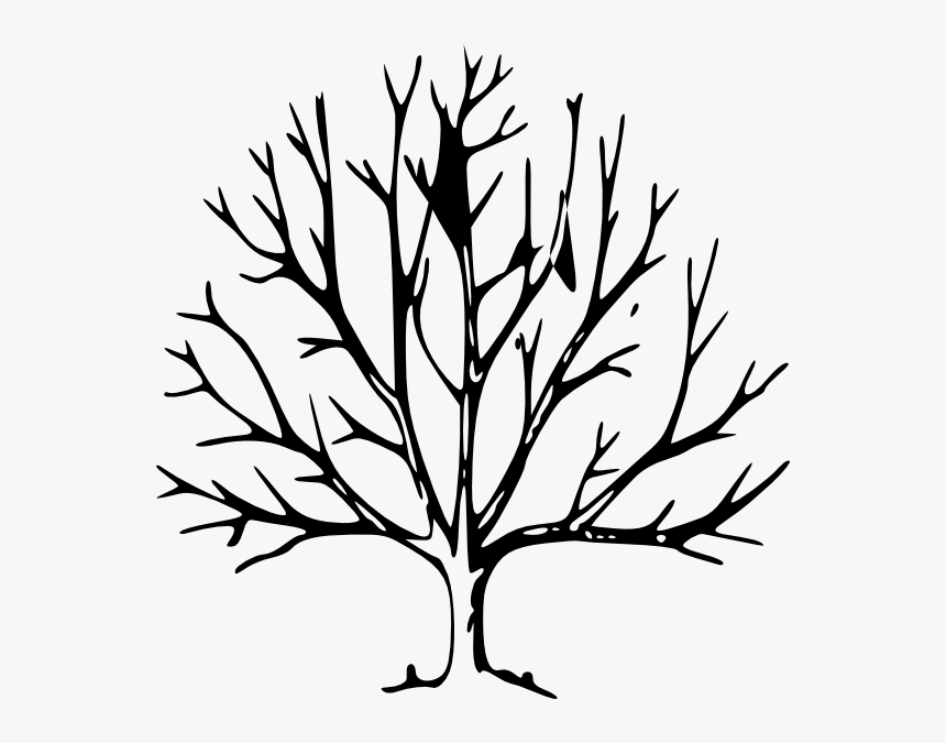 Tree Without Leaves Clipart, HD Png Download