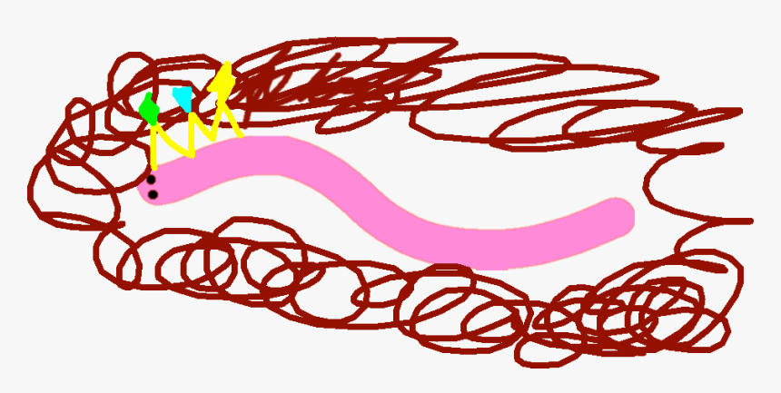 Clip Art, HD Png Download