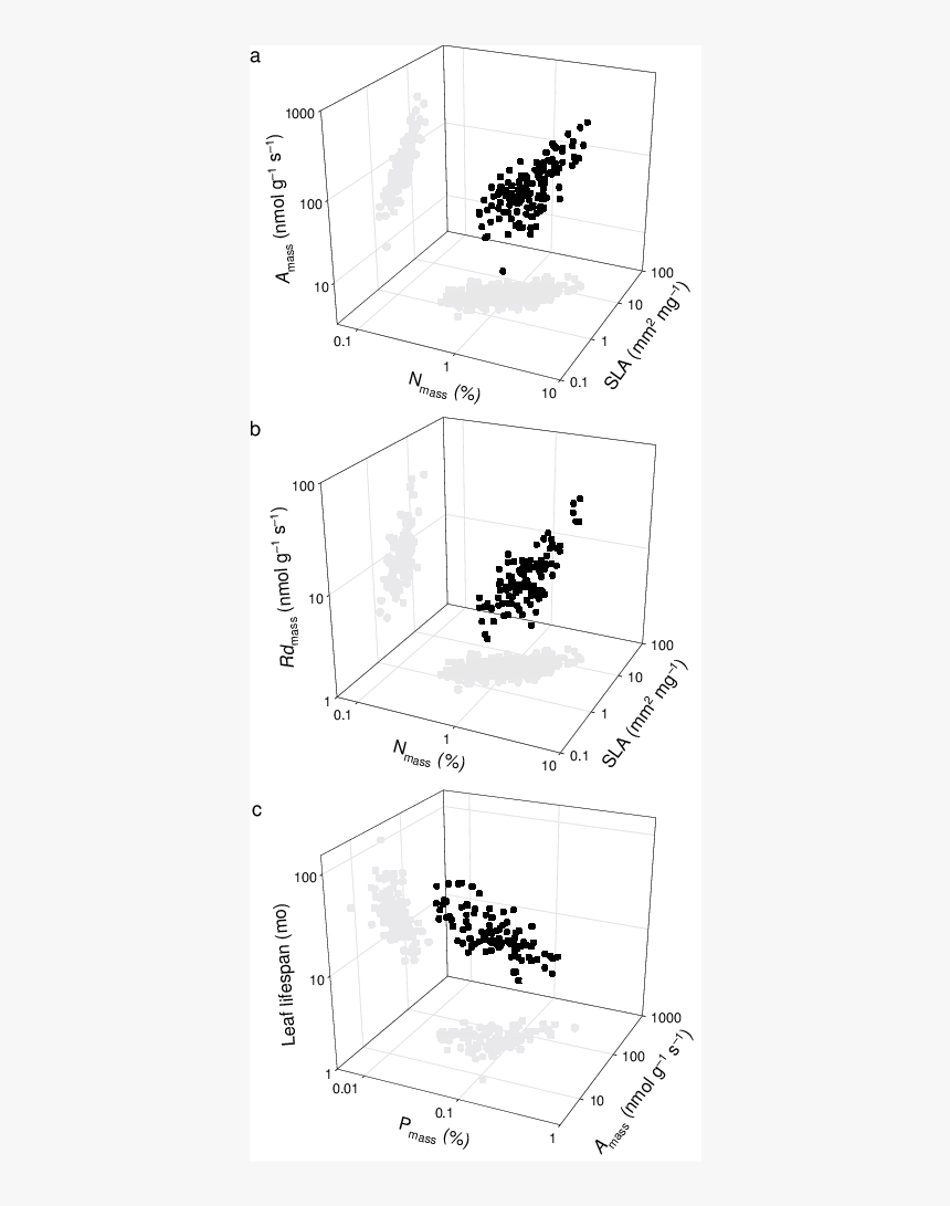Diagram, HD Png Download