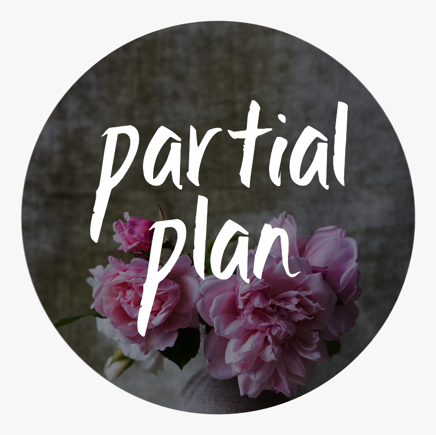Partial Plan - Common Peony, HD Png Download