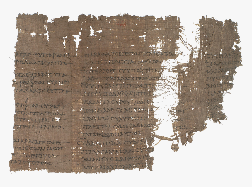 Wrestling, HD Png Download