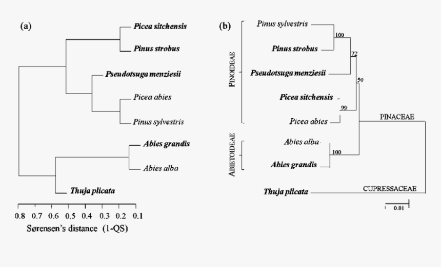 Document, HD Png Download