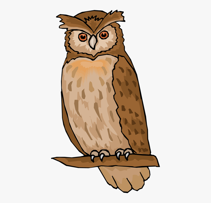 Flying Vector Barn Owl - Clipart Image Of Owl, HD Png Download