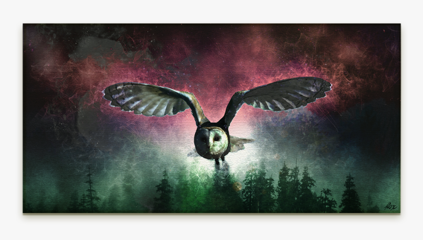Flying Owl Digital Art On Canvas - Barn Owl, HD Png Download