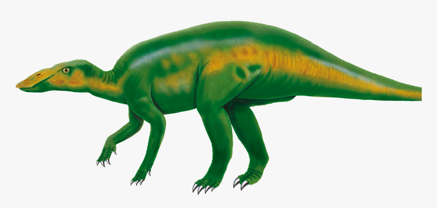 Inflatable, HD Png Download