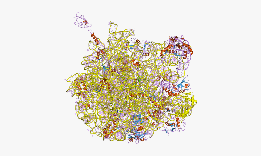 Structural Biochemistry/nucleic Acid/dna/dna Structure/unusual - Illustration, HD Png Download