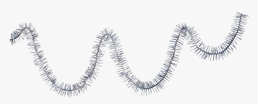 Decoration Centerblog Christmas Garland Day Free Photo - Eyelash Extensions, HD Png Download