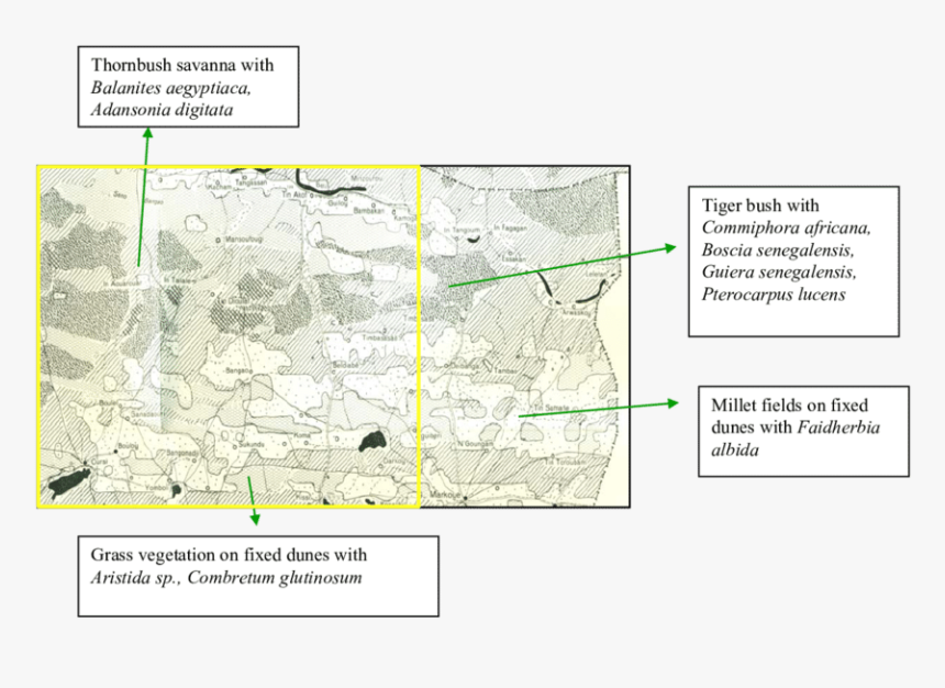 Screenshot, HD Png Download