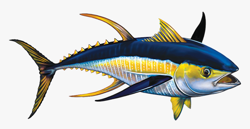 Porc-tn42 Tuna Copy - Marlin, HD Png Download