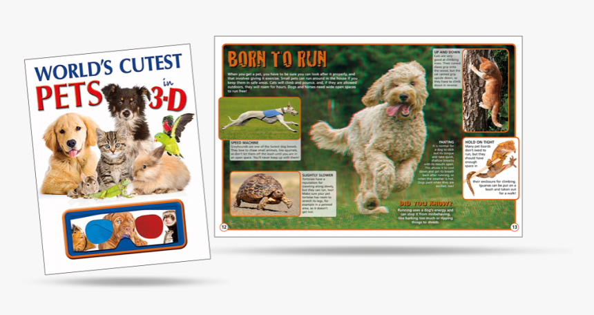 Dog Catches Something , Png Download - Dog Catches Something, Transparent Png